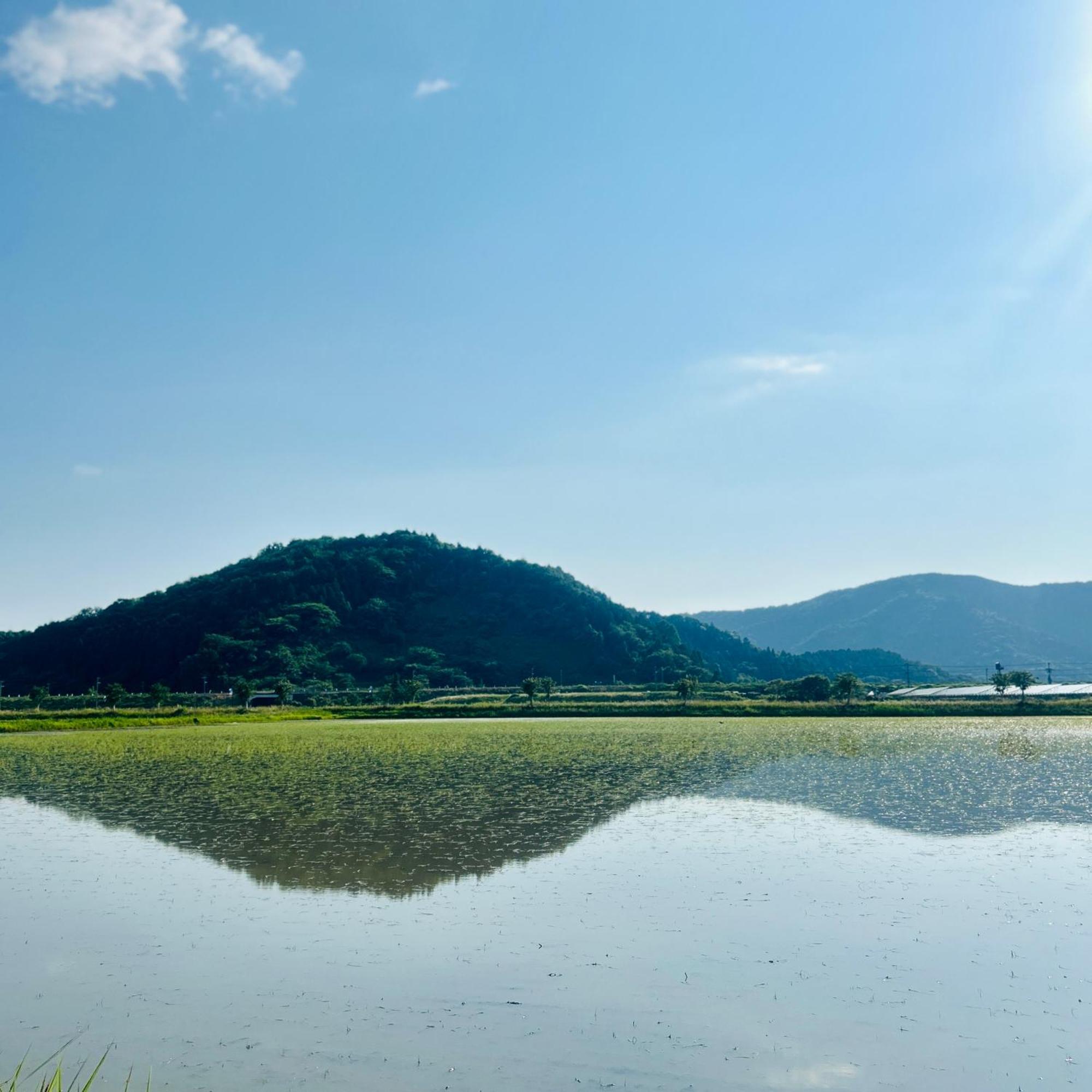 湖北 寺の宿-去-来-現ko-Rai-Gen Nagahama  Eksteriør bilde